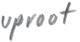 Uproot Wines